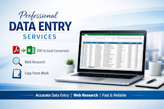 excel data entry, copy paste and web research