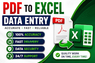 do accurate PDF to excel and data entry