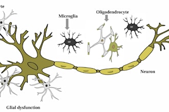 create publication quality biological illustrations