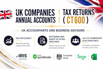 prepare and efile US tax returns for personal corporate and llc