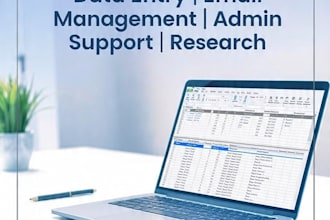 be your virtual assistant for data entry and emails