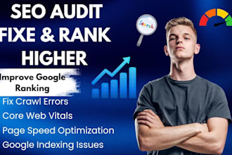do an SEO audit and fix website crawl and page indexing errors