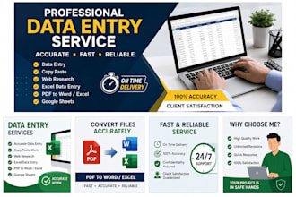 do accurate data entry copy paste web research and excel data entry