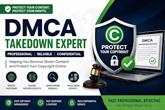 file professional dmca takedown notices for stolen content
