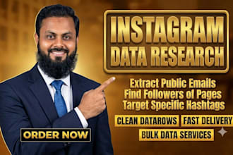 do instagram data entry and web research for data collection