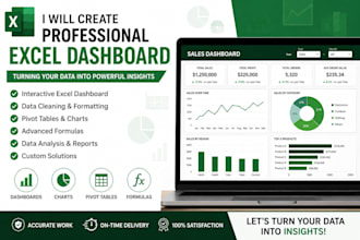 create professional excel dashboards, report and formulas