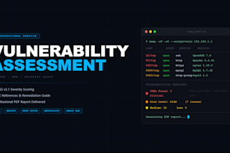 perform web and network vulnerability assessment with security report