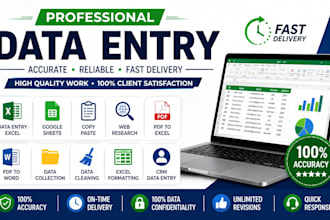 do accurate data entry, excel data