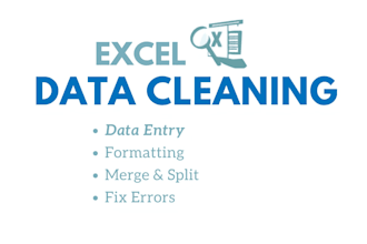 clean excel data and do accurate data entry