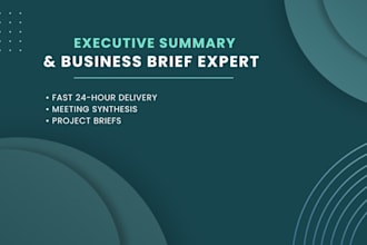 write a professional business summary or executive brief fast