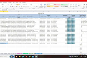 do professional billing data entry and excel invoice tracking