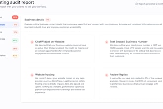audit your website, SEO, and ai readiness