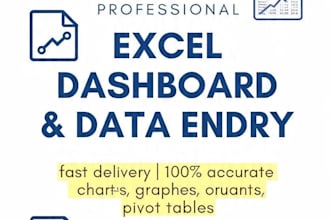 create professional excel dashboard and data entry