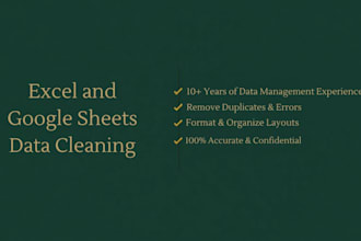clean and organize excel or google sheets data