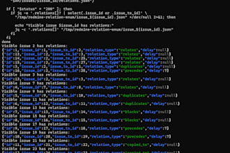 perform professional web app penetration testing and security assesment