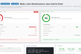 speed up and optimize your slow wordpress or woocommerce website