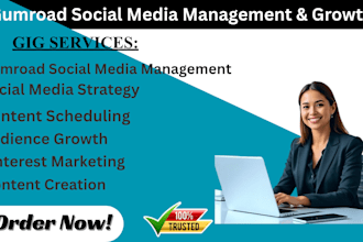 promote gumroad store social meadia manager meta tiktok pinterest ads meta ads