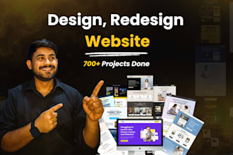 build professional hostinger wordpress website design or redesign website