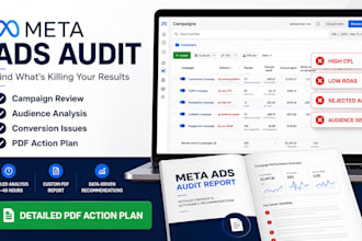 audit your meta ads and give a winning strategy