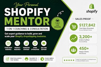 be your shopify mentor dropshipping coach 1 on 1 consultation
