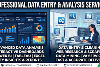 do professional data analysis excel data entry and dashboards