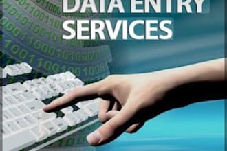 do fast and accurate data entry and excel work