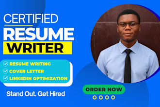 deliver a 24 hour professional resume writing service