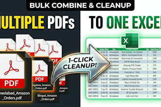 pdf to excel data conversion and data cleaning expert