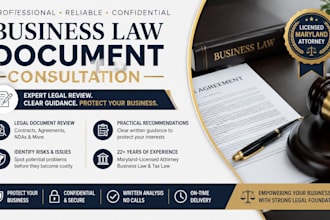 provide professional business law legal consultation