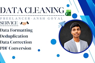 excel data cleaning, formatting, clean excel spreadsheet