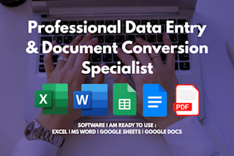 data entry, copy paste and PDF conversion