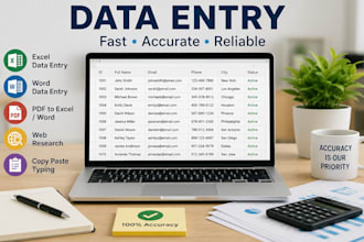 professional data entry and excel expert