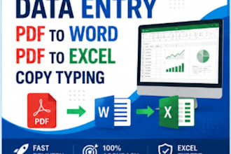 do professional microsoft excel data entry, formatting and PDF conversion