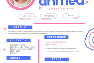 design a modern professional CV