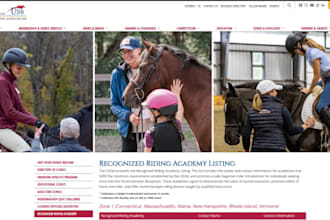design horse riding school website equestrian academy horse training website