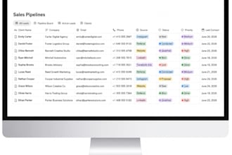 build a custom notion CRM workspace for your business