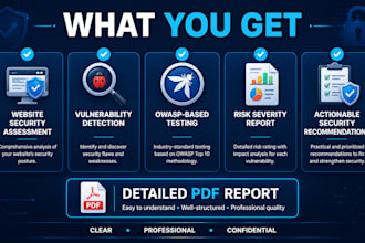 perform professional website penetration testing, vulnerability assessment