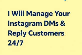 be your customer support virtual assistant on whatsapp and instagram