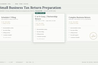 prepare and efile your business tax return as a CPA