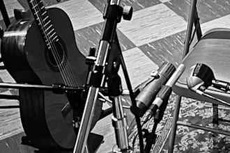 get professionally recorded guitar for you song or project