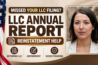 file llc annual report and handle llc reinstatement amendment in wyoming