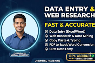 do perfect data entry, web research, and copy paste work