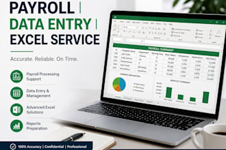 provide payroll processing and excel data entry services