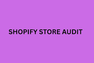 do shopify store audit