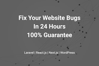 fix bugs errors on laravel react nextjs wordpress