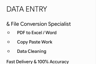 do professional deta entry and copy paste work