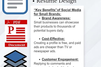 do professional ms word document formatting and assignment