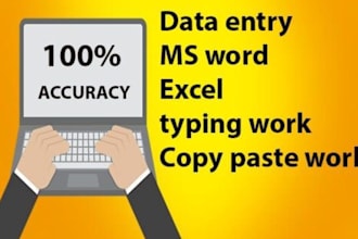 do professional data entry and excel data formatting