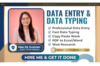 your expert virtual assistant for data entry and data typing
