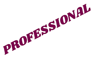 do anything for you professsionally